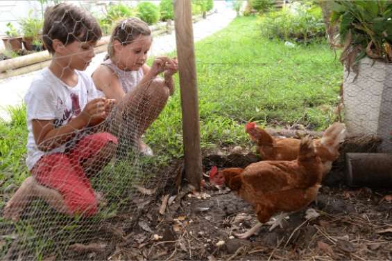Objectif -20 % de déchets