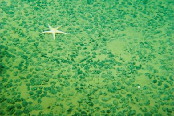 Encadrer l'or des profondeurs