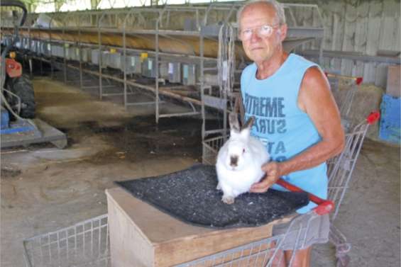 La filière lapin en danger