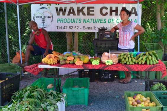 Rien n'arrête les femmes !