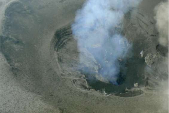 Des cendres vitaminées ?