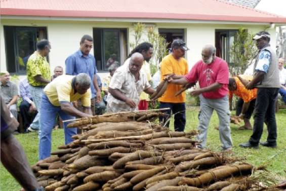 L'igname nouvelle fêtée aujourd'hui