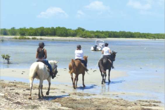 Des randonnées labellisées