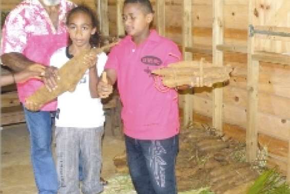 L'igname resserre les liens