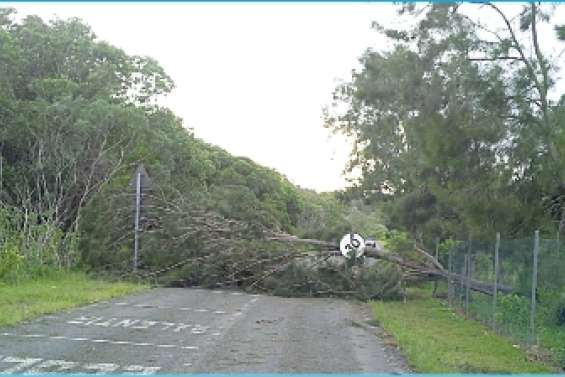 Dernier jour pour  les aides agricoles