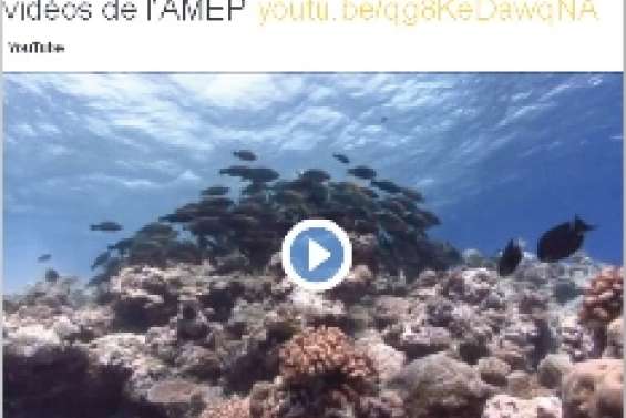 Les musées s'affichent sur Twitter