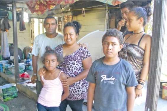 La famille de Scheffleras est relogée