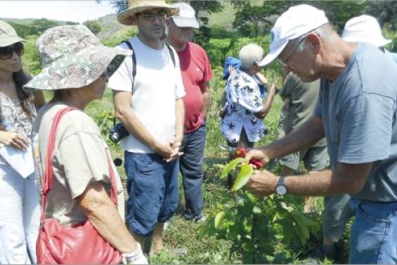 Savoir tailler dans le vif