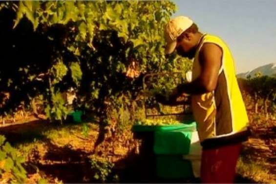 Ouvrir les champs aux Ni-Van