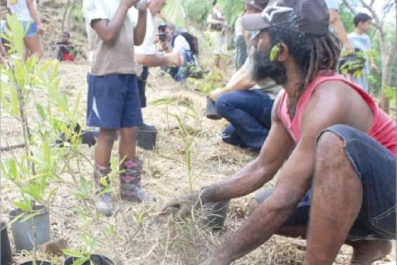 Plantation citoyenne