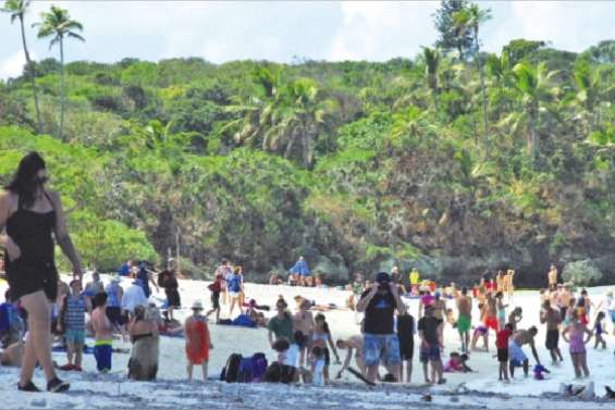 Au rythme des croisières