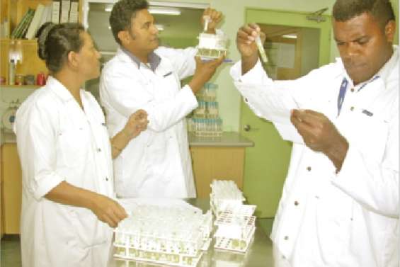 L'alimentation a la patate