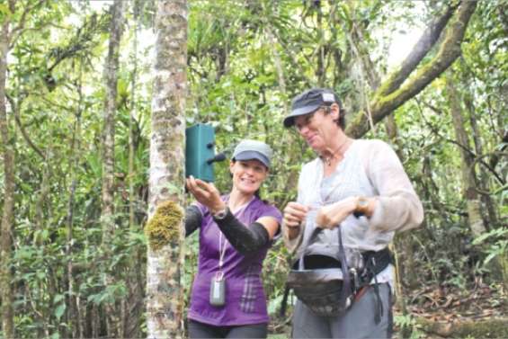 Un nouveau nid dans le Nord