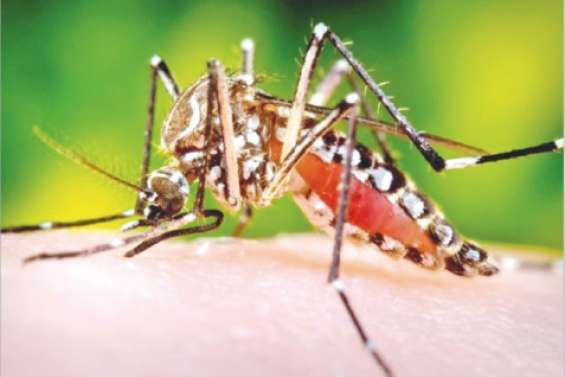 Une épidémie à 1,6 milliard