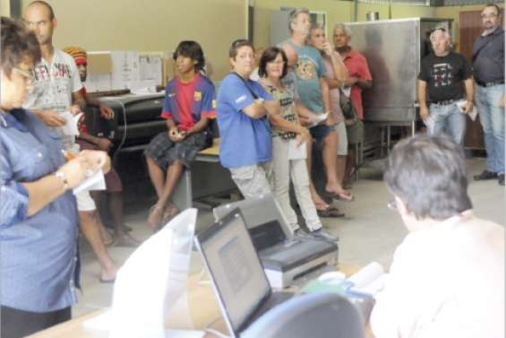 Attirés par la tondeuse