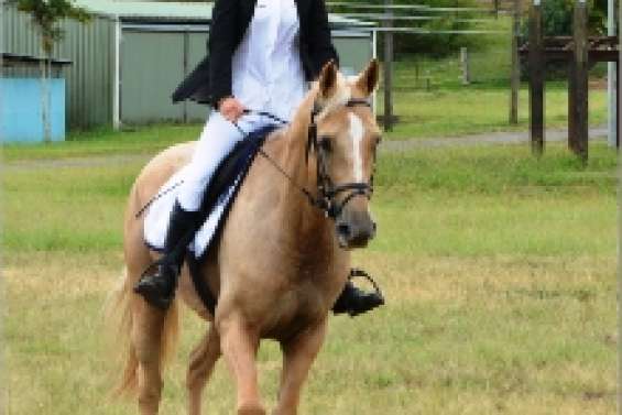 La météo écourte la compétition