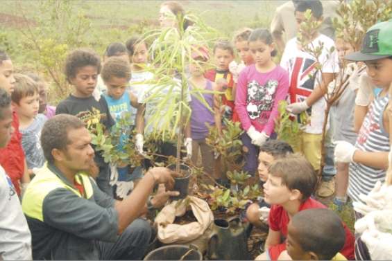 Aux arbres, citoyens !