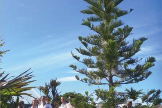 Le marathon du haussaire