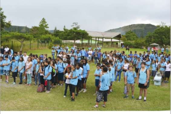 A l'ombre des « Niaoulis »