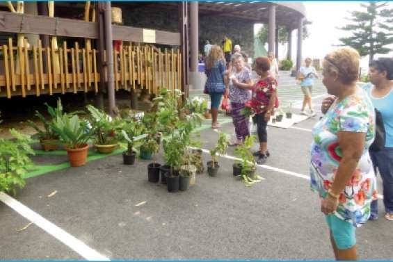 Un nouveau  marché a fleuri