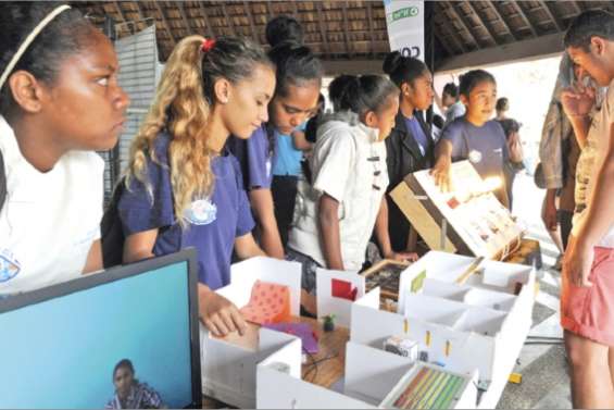 Arbres et ruches au lycée