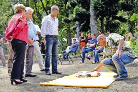 Le « sana » a un avenir