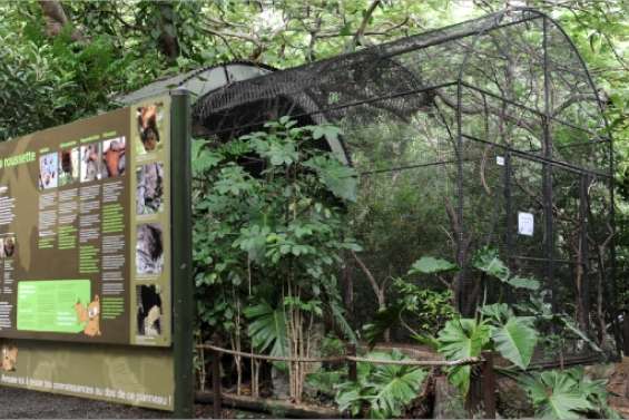 Alerte à la roussette