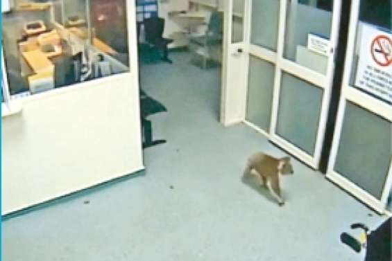 Un petit tour  et puis s'en va