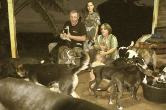 Une vie de chiens à Népoui