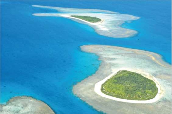 Un sommet pour les récifs