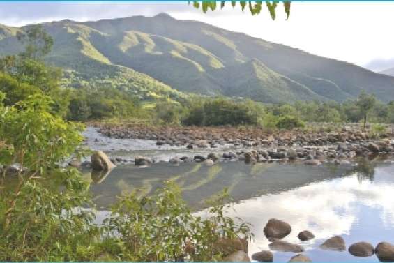 1500 arbres à planter avec le WWF