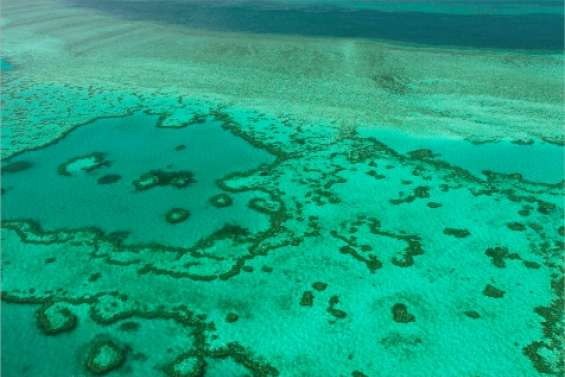 La Grande Barrière, sauve ?