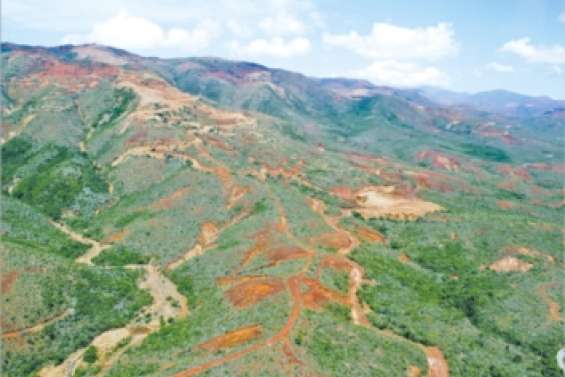 Graziella  n'attire pas