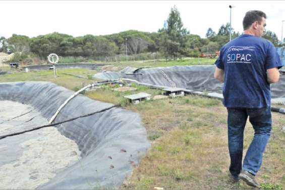 Eclosion de solutions