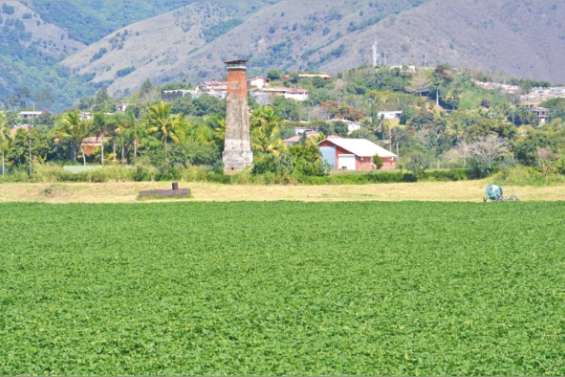 Le champ libre à l'histoire