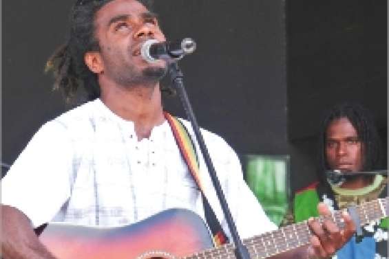 Toutes les nuances  du kaneka