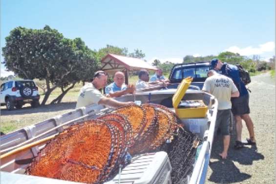 La pêche aux infractions
