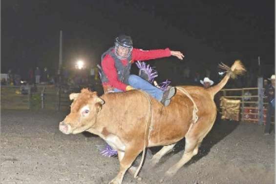 Une première  prometteuse