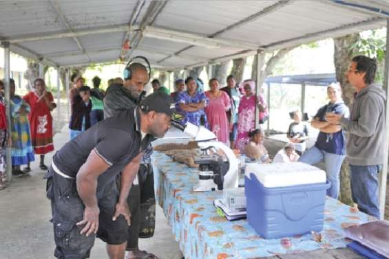 L'igname sous haute surveillance