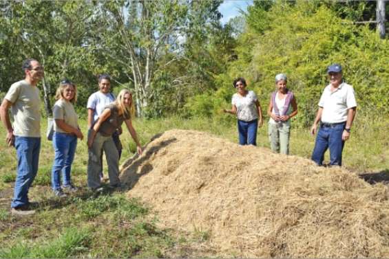 Les mains dans le compost