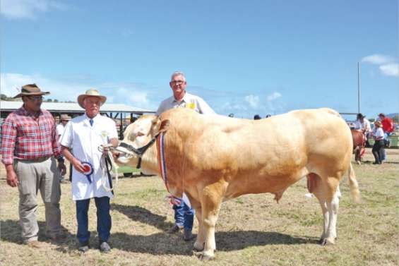 Un démarrage en beauté