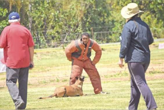 Un week-end de chiens