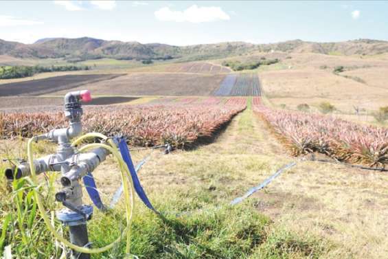 Le barrage de tous les espoirs