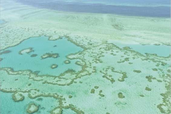 El Niño menace le corail