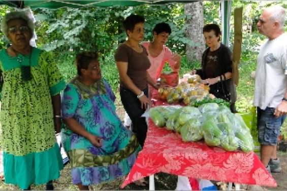 La tribu de Ouaoué ouvre ses portes