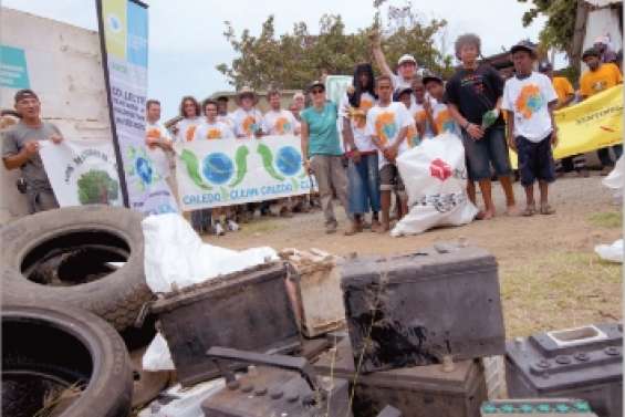 Au chevet de la mangrove