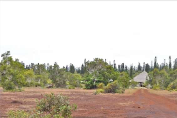 Le « réveil » du Cap N'Dua