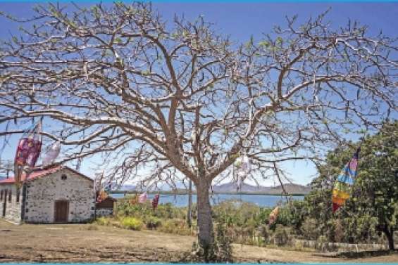 Sur les cheminsde l'art