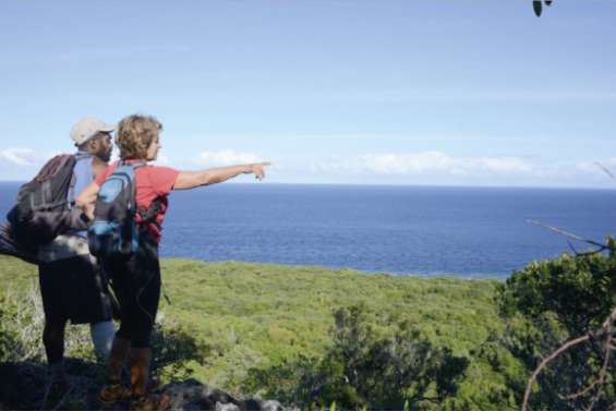 Tiga sur le chemin du tourisme