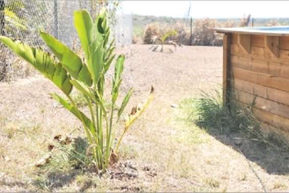 Le plan d'alertebientôt déclenché